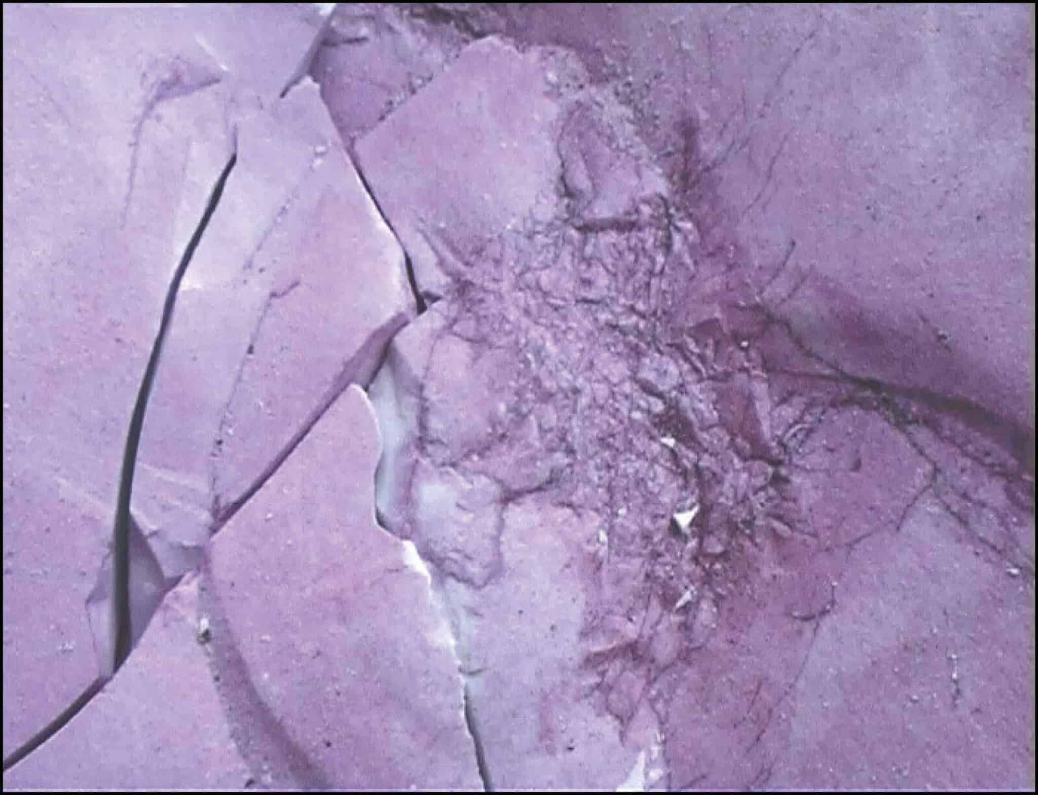 Aging Behaviour & Resistance of Ceramic Insulators PPC INSULATORS